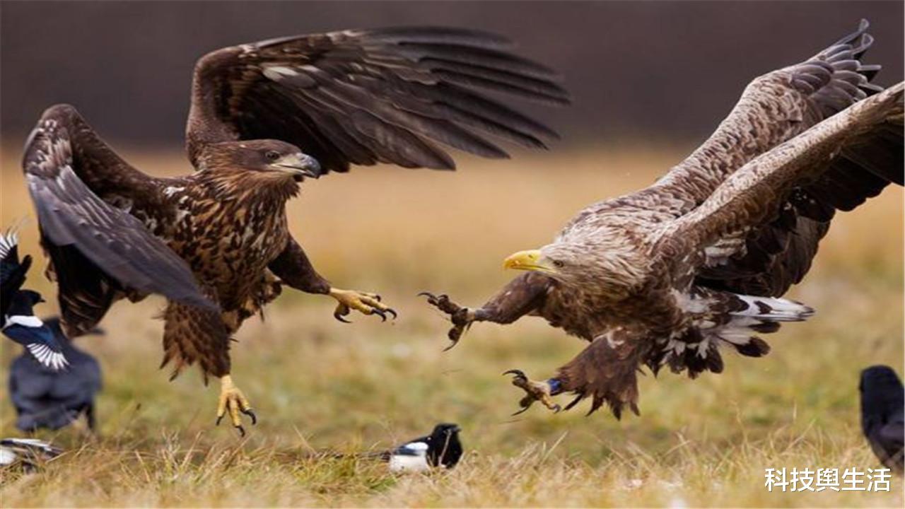 科学家|700年前，出现过以人类为食的生物，后来为何消失不见了？