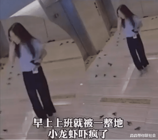 麻辣小龙虾@女白领点20斤小龙虾忘记吃，结果第二天上班时，龙虾爬满了办公室