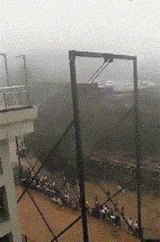 车厘子|“酒桌上领导将酒泼在你脸上，怎么下台？”哈哈哈哈看工资