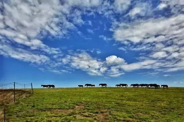 「乌孙」你为什么留在喀拉峻？