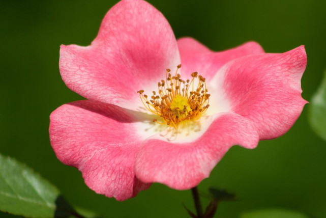 运势|8月一到，贵人八方来，3生肖事业辉煌，财气飙升，处处有喜讯！