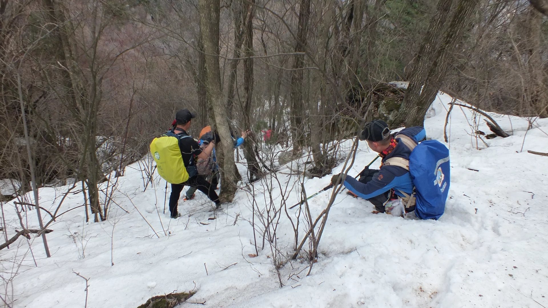 『秦岭』走入秦岭：山里山外两重天，有雪有花别样春