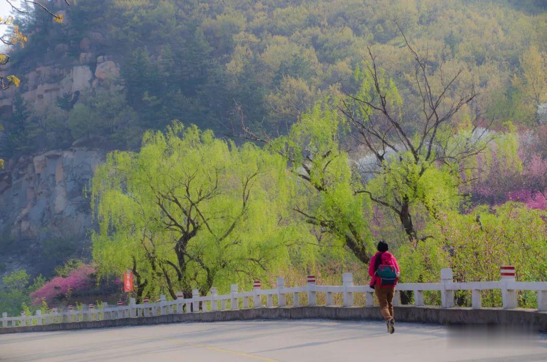 ▲周末，彩石溪走起！