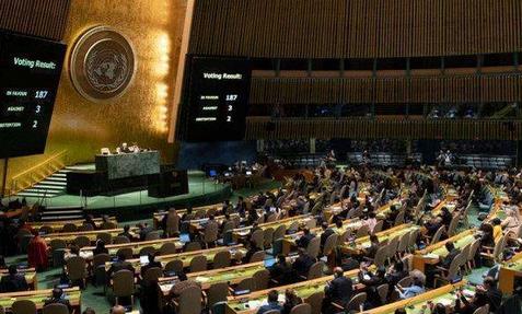 印度：印度大获全胜？184票支持8票反对，中美俄都无法逆转局面