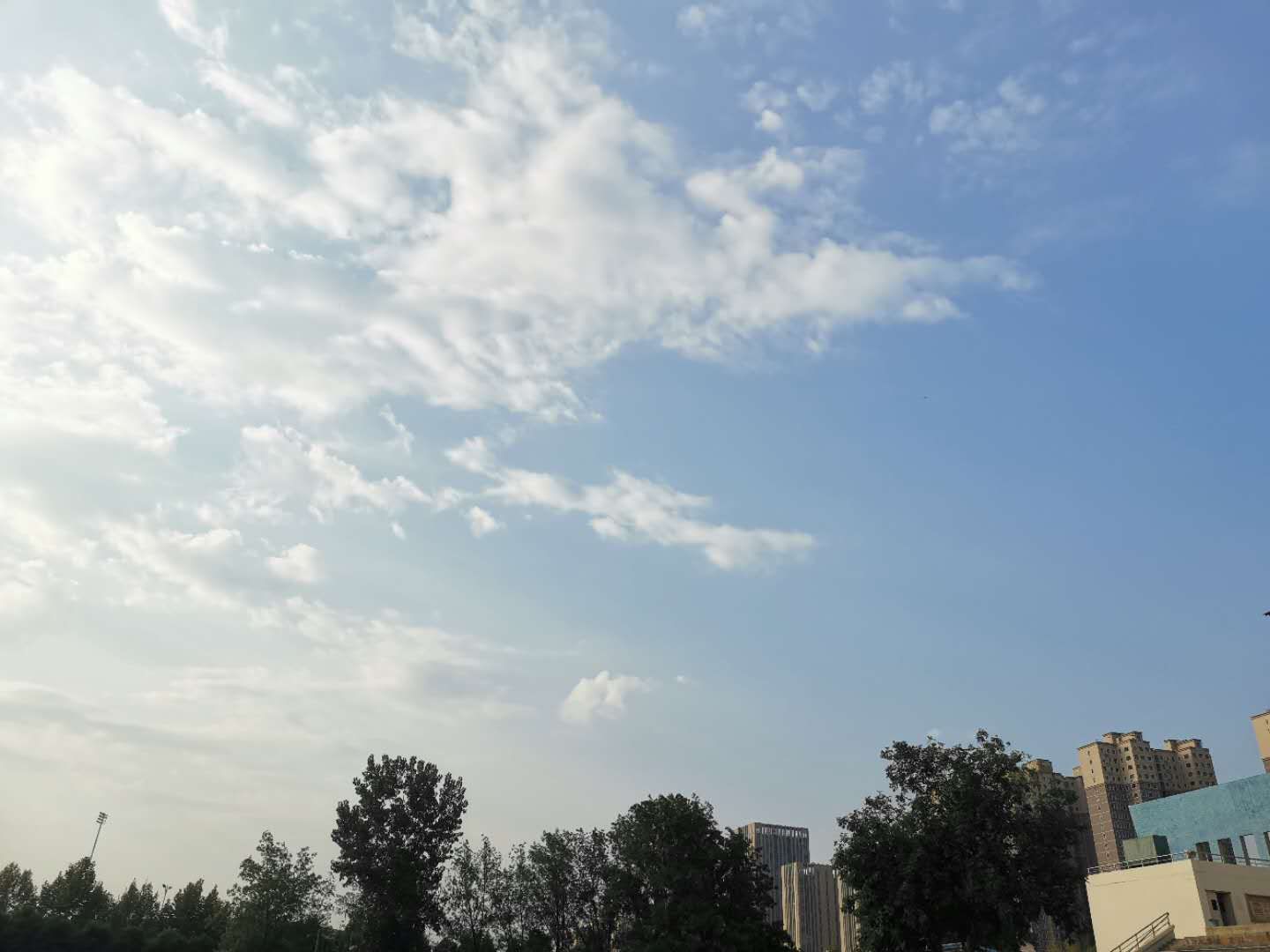 『』高三, 一场炼狱, 但请你继续努力