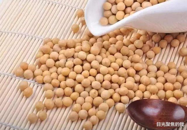 阿根廷|得寸进尺!被中国进口全国80%大豆,本想狠赚一笔,结果却栽了