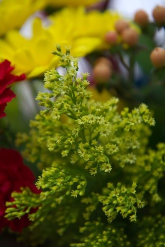 旧爱|在5天之后，真情难逃旧爱，旧爱回头，重新擦出火花的四大星座！