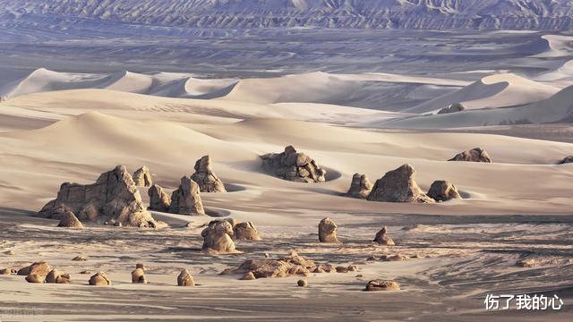 科学家|科学家彭加木罗布泊失踪的秘密被隐瞒了30多年，最终真相大白