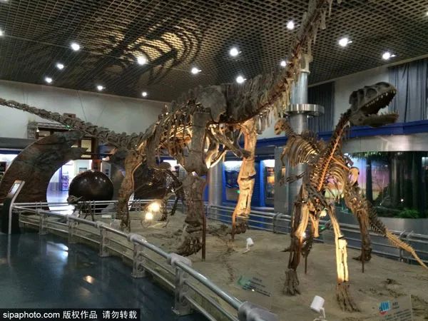 北京旅游网|通知！再上3天班就集体放假！但有3个坏消息…