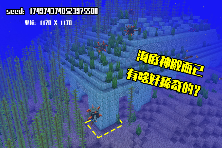 #张大仙#我的世界:沙漠神殿地下藏,女巫小屋村庄长,谈谈MC中的奇葩地形