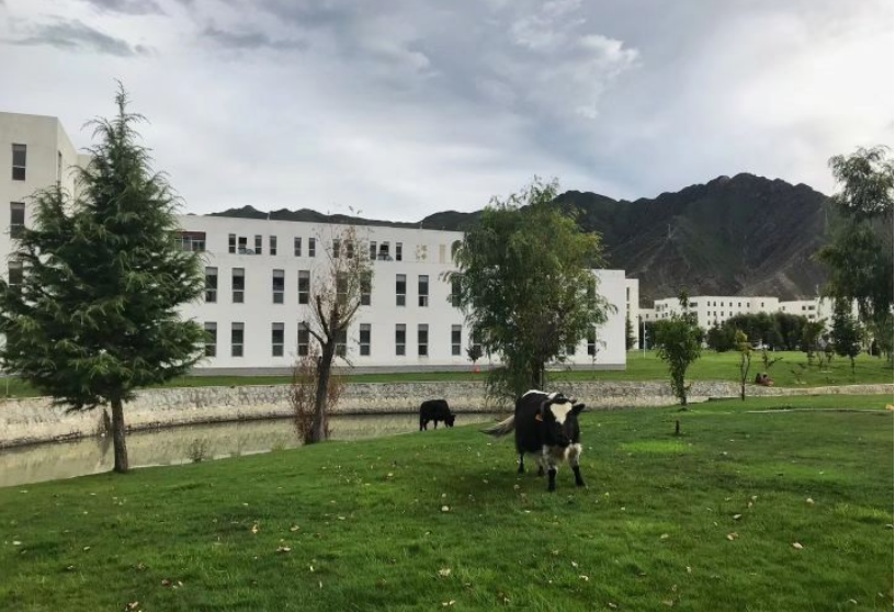 [石河子大学]宁去二本院校，也不去这3所211大学，家长：大不了复读！究竟为何