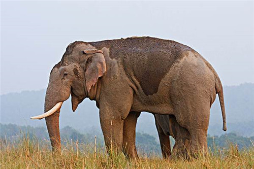 科学家|世界6大神秘事件,其中3件发生在中国,科学至今也难以解释