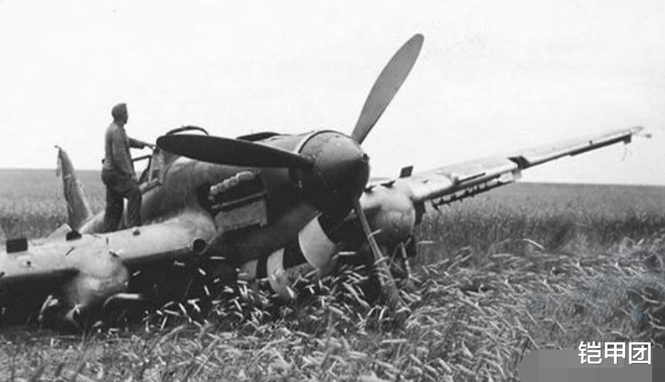 『』顶尖飞行员奇遇记:空中与巨蟒相遇,蛇头朝上竖起,真相成迷