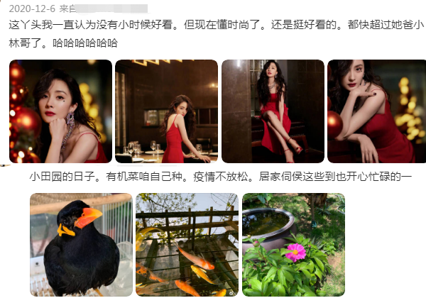 郑爽|对比杨幂爸爸专宠，郑爽爸爸戏真的太多，着实坑了女儿不少