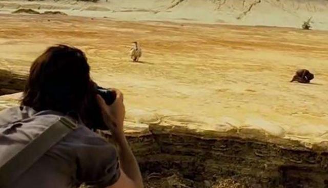 墨语笙歌|26年前,“秃鹫和小女孩”照片闻名世界,那位女孩最后结局如何