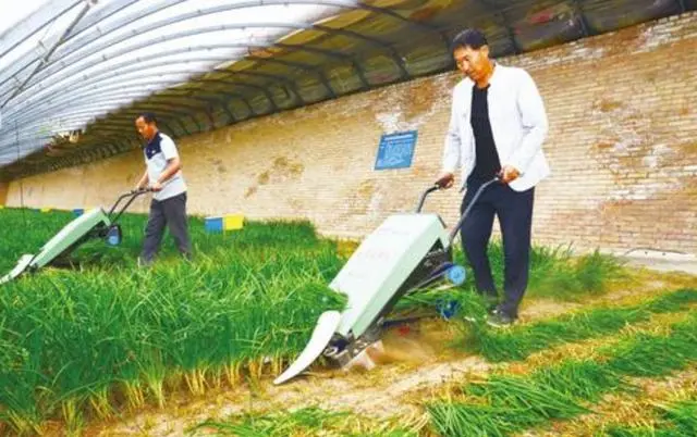 康美药业|康美药业马兴田终于被抓，三儿子跑车价值数亿