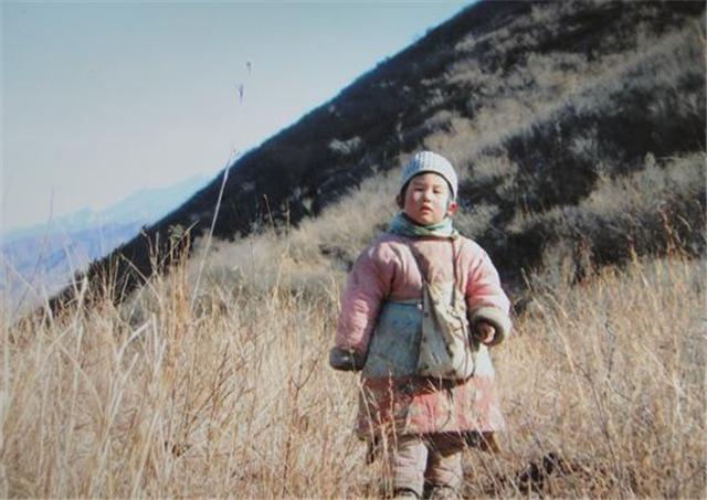 「富豪」夫妻俩本是北大才子,却躲进深山27年,富豪同学得知后嚎啕大哭