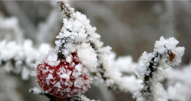 旧爱|8月底，4属相喜讯不断，福气到来，步步高升，迎来人生大吉大利