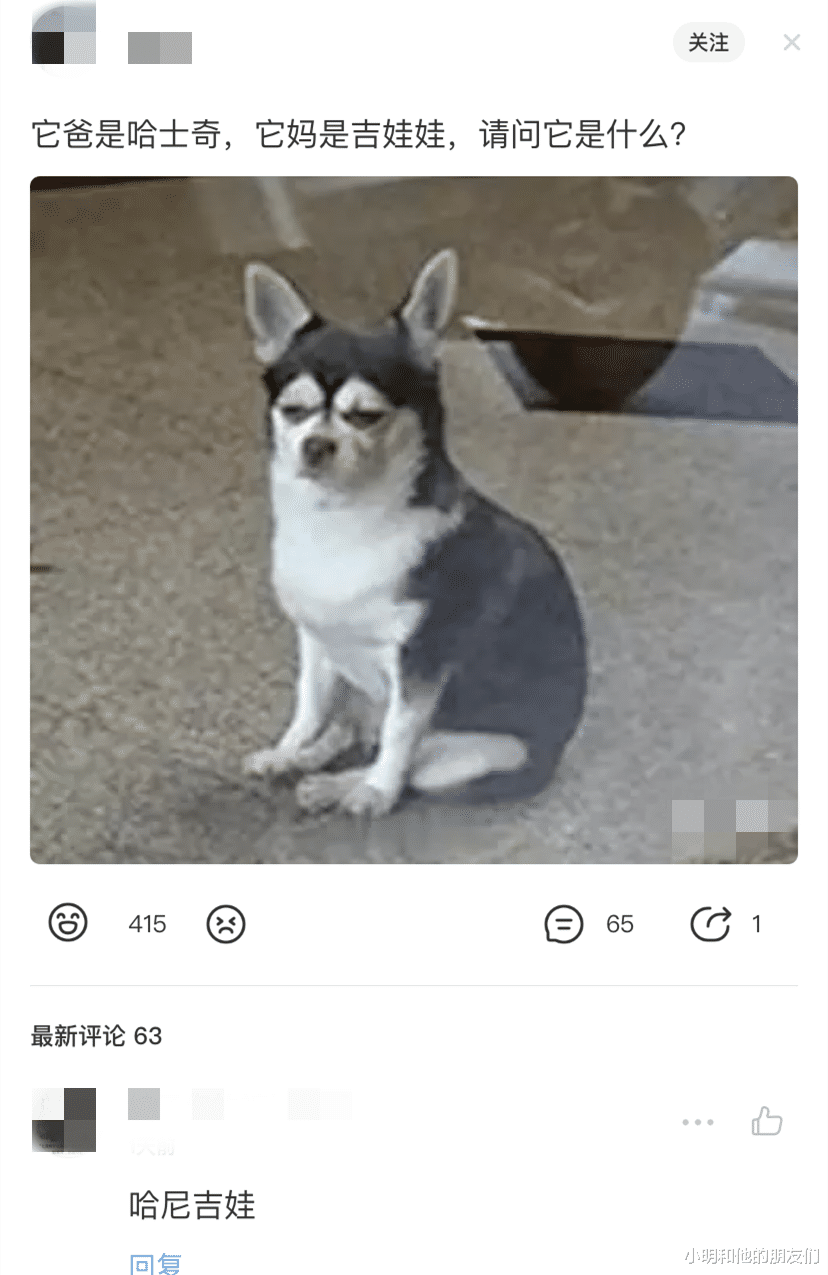 脑回路|“古时候没电，古人是怎么过夜生活的？”神评的脑回路真奇特！哈哈哈