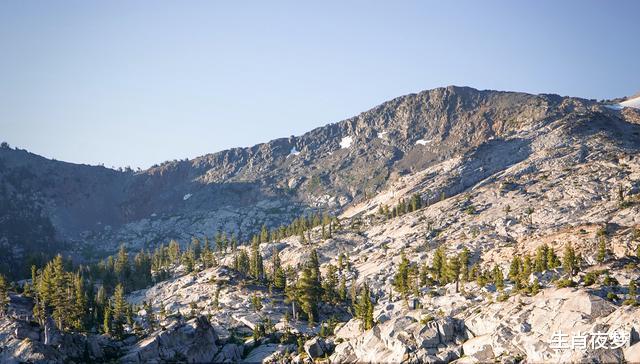 生肖|10月，桃花满枝红，情深意也浓，3生肖囍事连连，邂逅今生挚爱