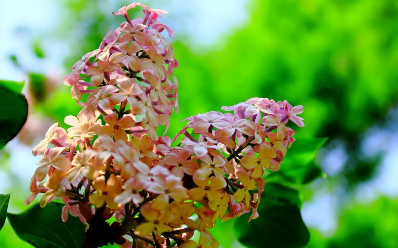 「生肖」7月开始，4大生肖前缘未了，月老撮合死灰复燃，爱情重生