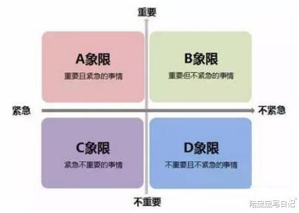 张子枫|张子枫高考前还在录综艺,学霸+天才双重人设,她不累吗?