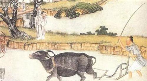 #抗体#为什么杀牛的时候牛会流眼泪,难道因为牛有灵性吗?看看专家回答