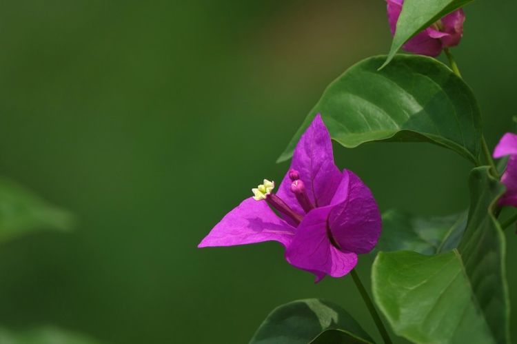 生肖|10月，斩断前缘不回头，爱恨交织，心灰意冷，不再期待的4大星座