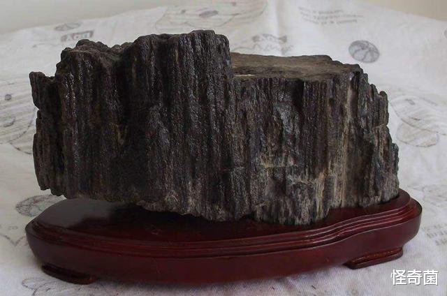 科学家▲地球文明在无限轮回？科学家在青海发现15万年前“铁管”