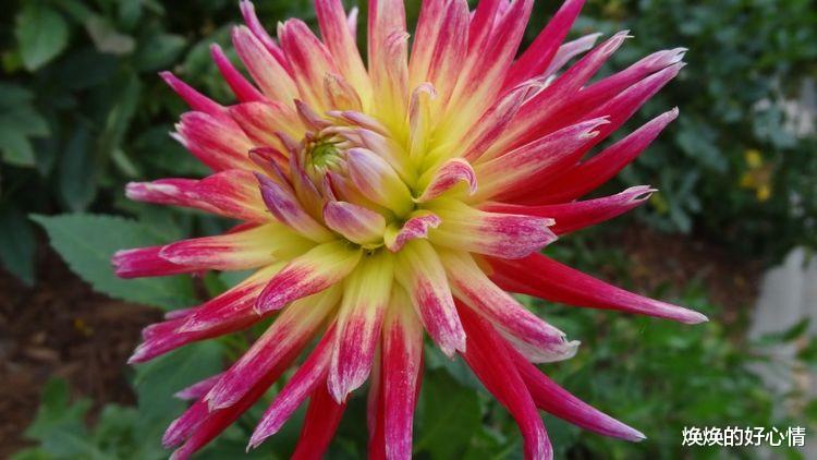 生肖|下个月开始，真爱不期而遇，荡漾心头，激起爱情浪花的4大星座