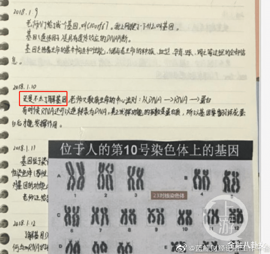 金融八卦女|少女日均写诗2000首、12岁神童癌症大奖被撤：中国家长，醒醒！