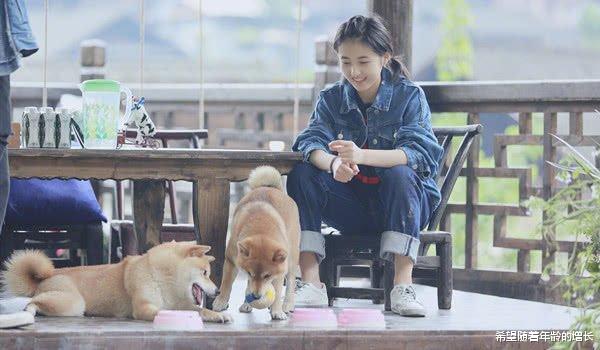 [梁家辉]新四小花旦成虚名，90花仅剩杨紫、周冬雨，大花接班人在哪里？