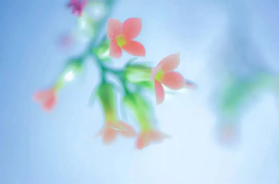 生肖▲4月渐入佳境，5月大富大贵躲不掉，4生肖财运光芒四射，开工遇贵人