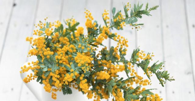 无忧无虑|8月底，时来运转，鸿运当头，3生肖贵人鼎力相助，生活无忧无虑