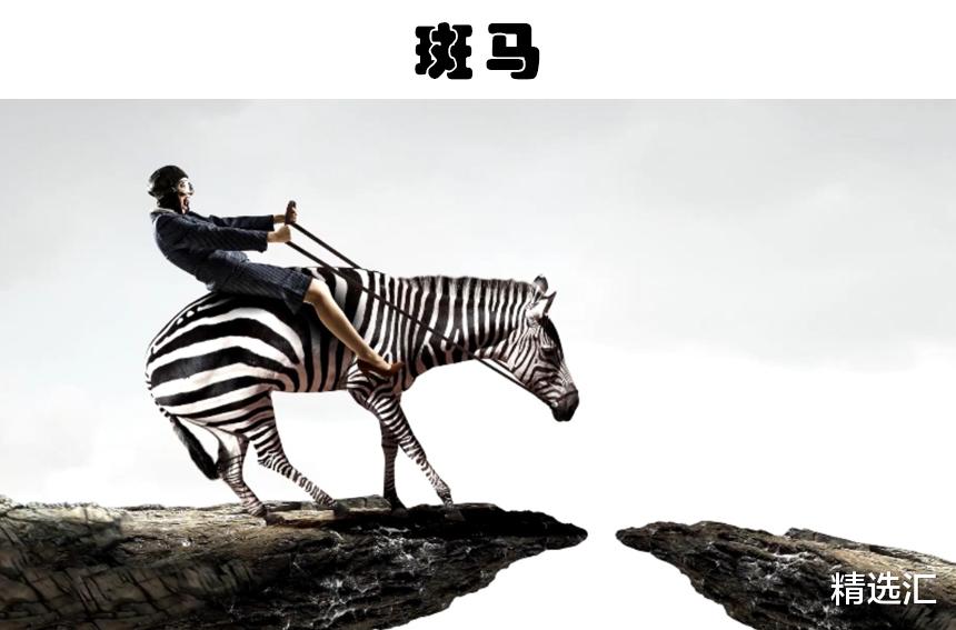 鳄鱼|即便发展了很多年，如今依然无法被真正驯化的9种动物