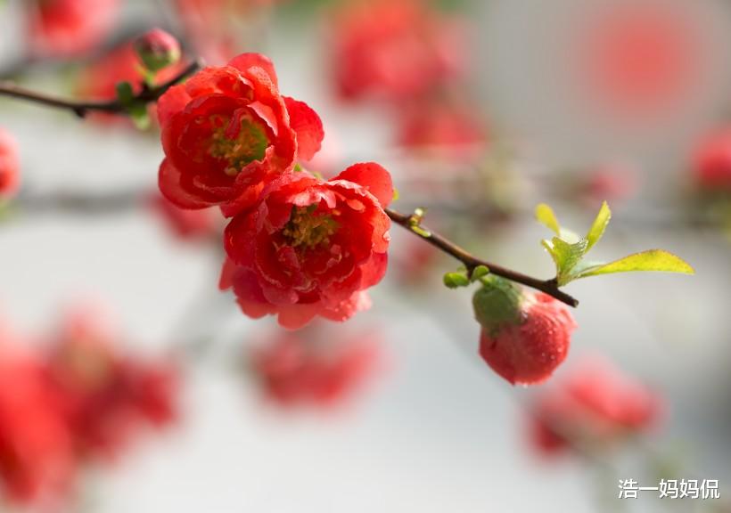 生肖▲6月23号行好运，日子喜气洋洋，不缺金钱，霉运远离的生肖男女