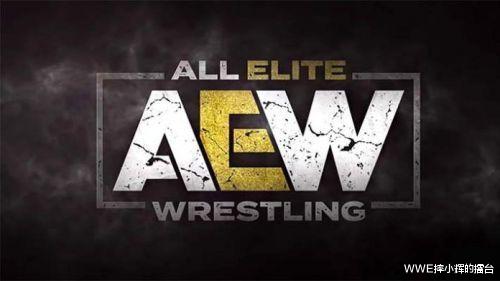 「wwe」WWE摔小辉新闻: AEW五大最佳员工奖，没有他们难以对抗WWE！