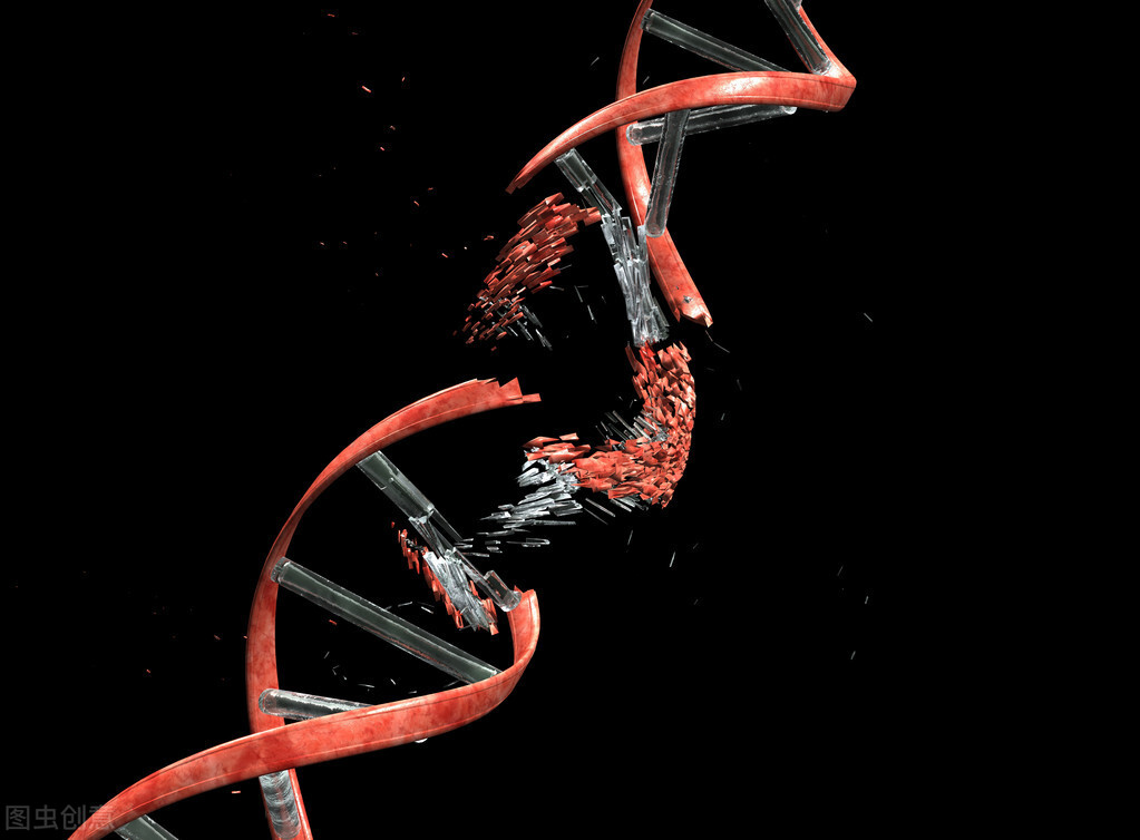 核辐射|如果体内DNA全部断裂，我们将毫无尊严地死去