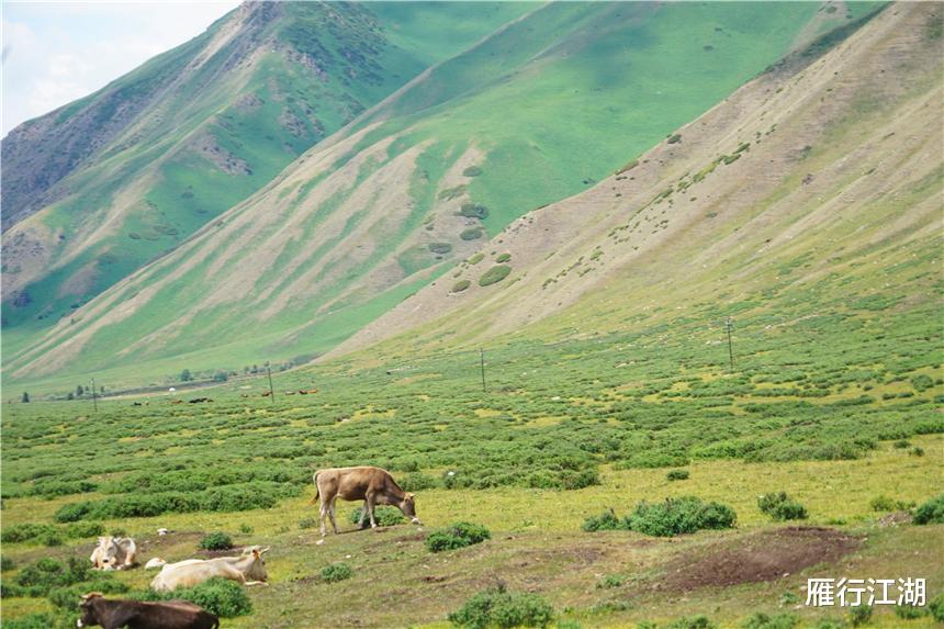 [自驾]中国最美自驾公路，全长561公里，一天看遍四季风景，游客：一生必来