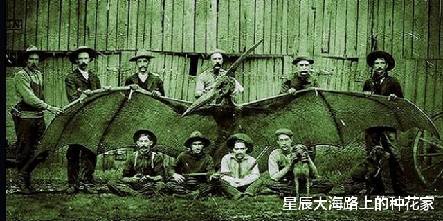 恐龙|恐龙真的消失了吗?1864年与恐龙合影的士兵,毫无PS痕迹!