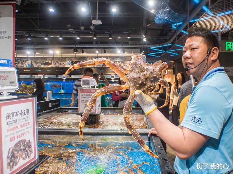 鲨鱼|世界最大的螃蟹有多大？竟可捕食鲨鱼，但吃的时候一定选第2种哦