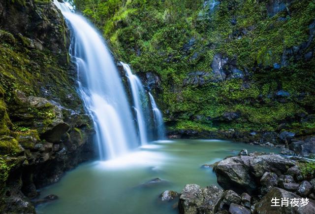 #结婚#2020年，桃花绽放，月老庇佑，3属相寻得良缘，牵手进入婚姻殿堂