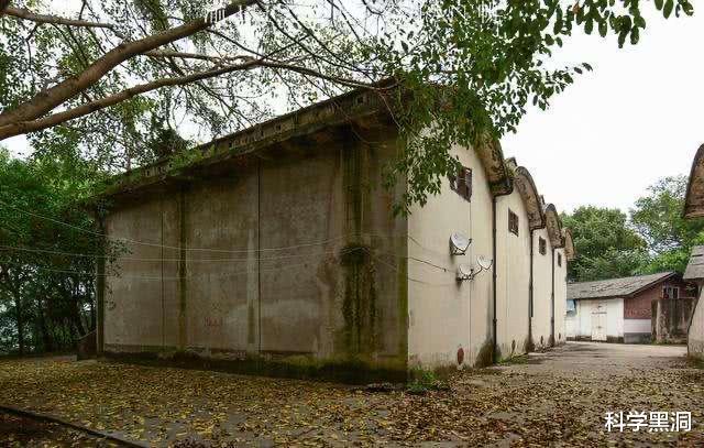 毒蛇■蛇真的会记仇并且实施报复吗？蛇类到底有多可怕？