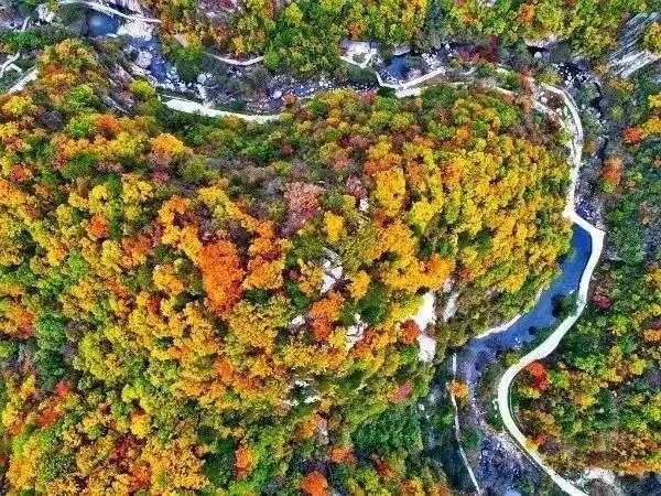 不插电|张含韵重新定义不插电音乐节！就在太平国家森林公园