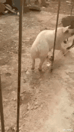 |视力太好，突然有点慌啊！