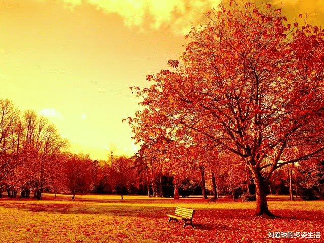 ：领导最反感员工有这4种表现，中2个以上，升职加薪就别指望了！