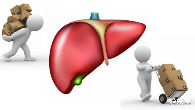 #排毒#身体2个部位“越臭”，可能肝“藏毒”越深，不能拖，该排毒了