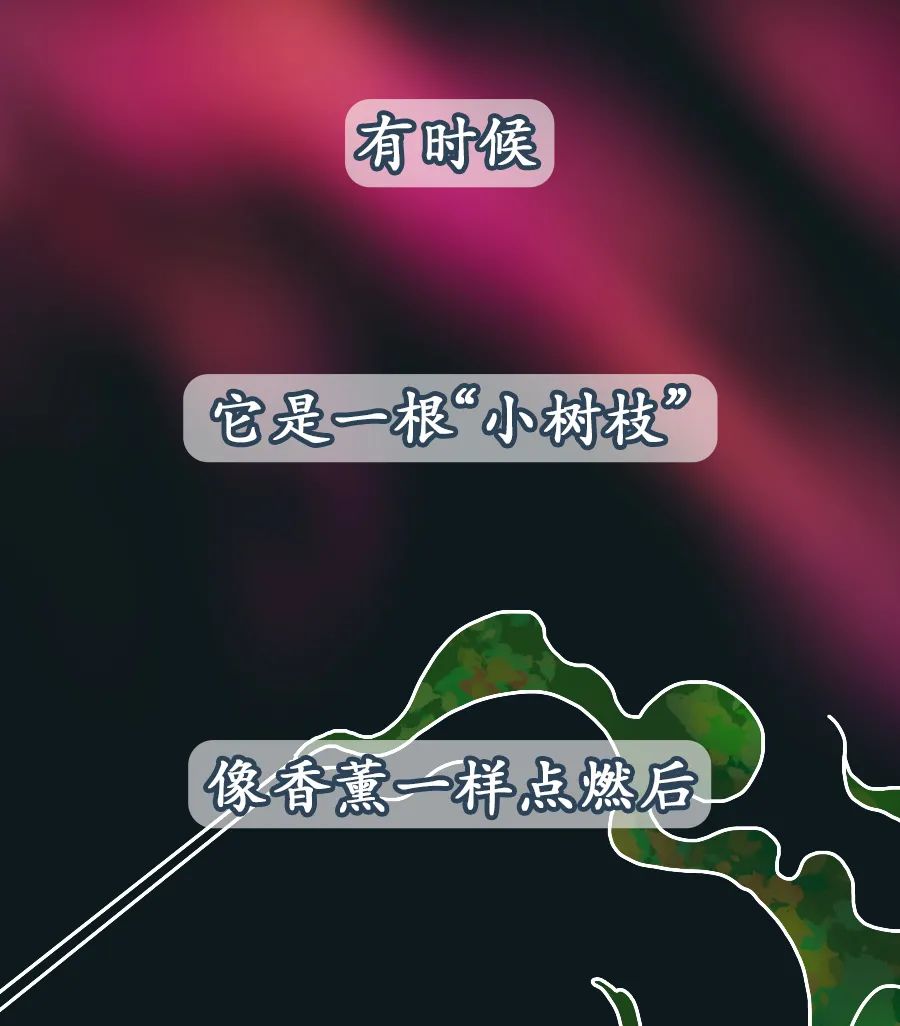 警界视野|都是毒品惹的祸！