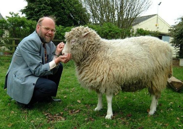 |为什么现在很少提“克隆”了?看下绵羊多莉的一生,或许你会明白