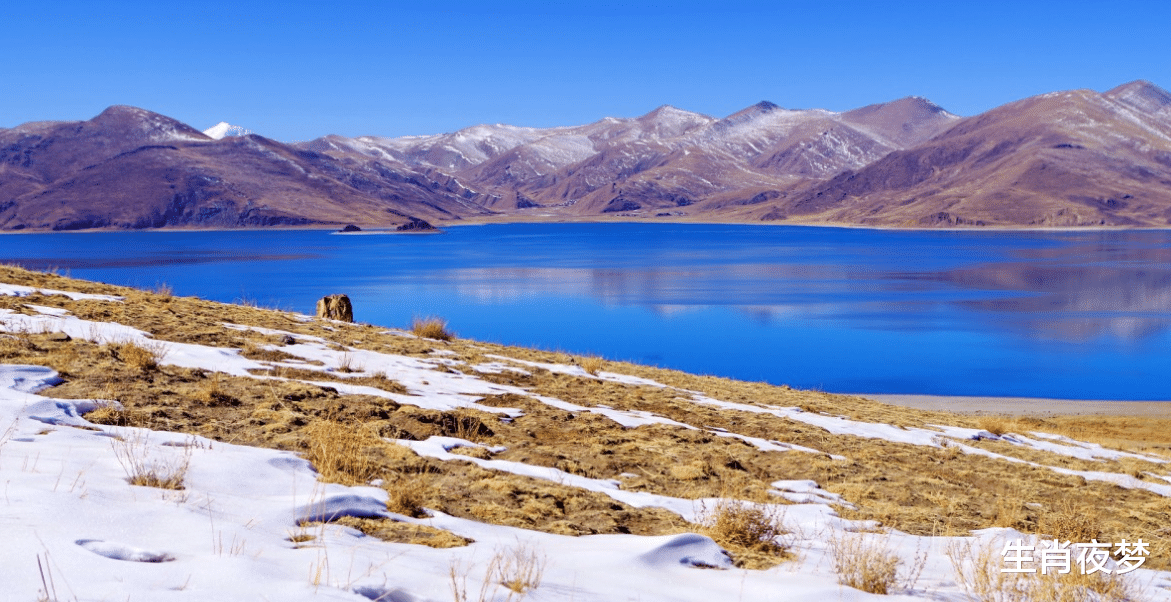 生肖|8月底，不舍旧情人，丢了灵魂，3生肖爱得乱了分寸，主动求和